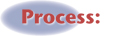 Step Process