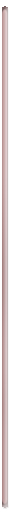 Thin Red Decorative Line