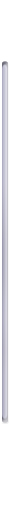 Thin Blue Decorative Line